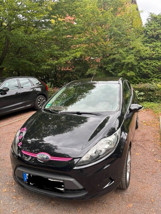Ford Fiesta 171.356 km 1.999 € Bonn 53111