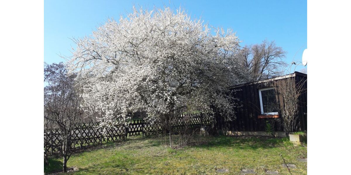 Provisionsfrei* Wunderschönes Niedrigenergiehaus in WerderHavel mit großem Grundstück - Einfamilienhaus Werder (Havel) | Angebot:26227929