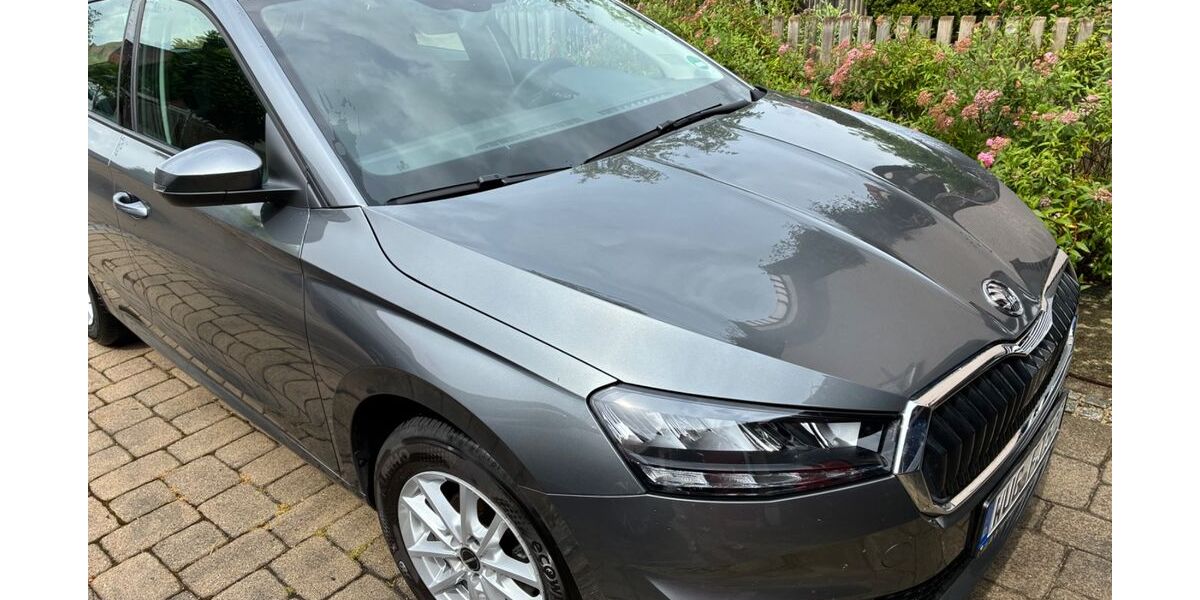 Skoda Fabia 20.746 km 17.150 &euro; Ellingen 91792