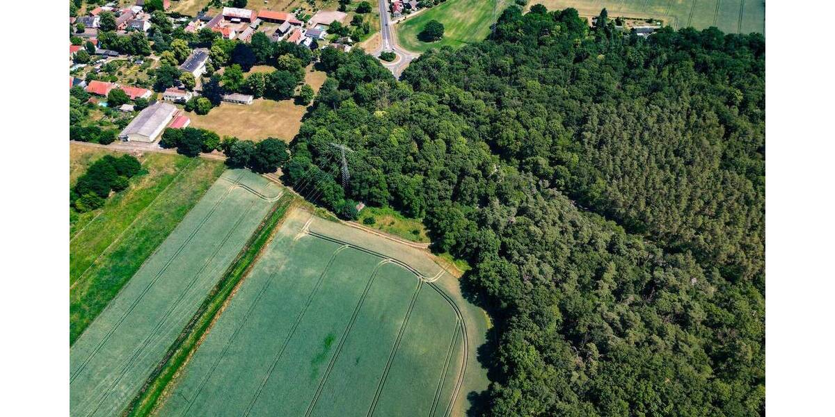 Einfamilienhaus Neustadt (Dosse) Neustadt - 1.599.000&euro; | Angebot:26608601
