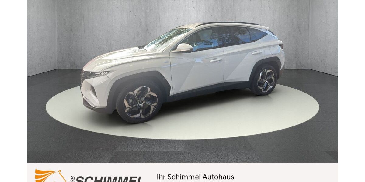 Hyundai TUCSON 8.532 km 31.490 &euro; Berlin - Spandau 13599