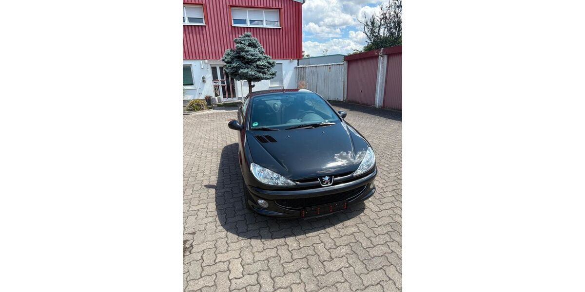 Peugeot 206 143.129 km 2.490 &euro; Landau 76829