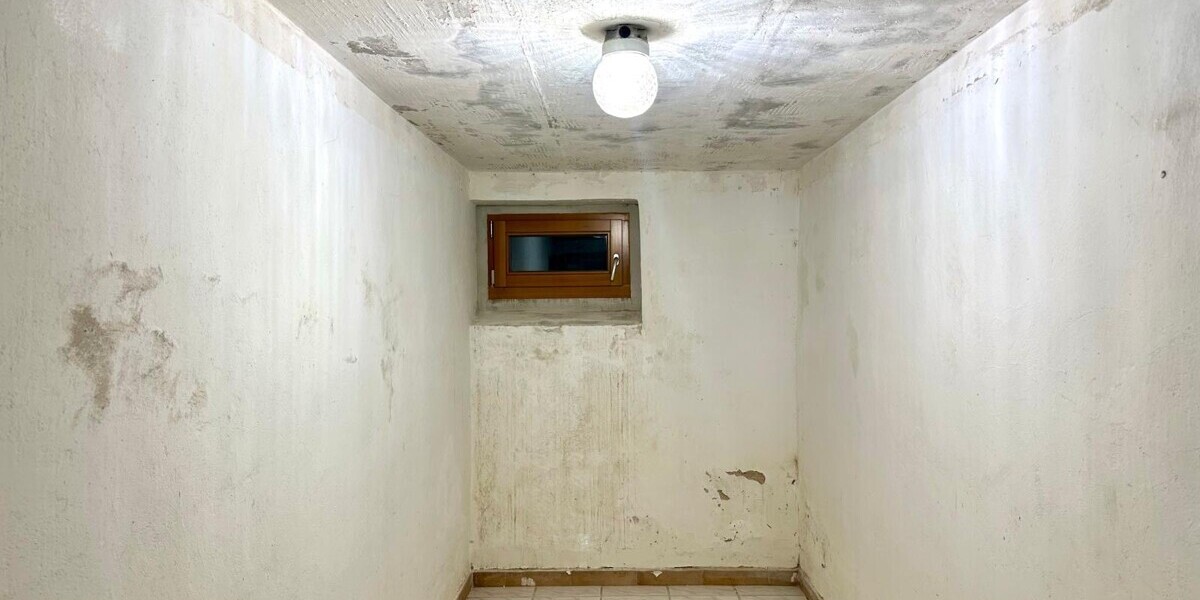 HORN IMMOBILIEN ++ Einfamilienhaus, voll unterkellert mit Garage, Ferdinandshof - Einfamilienhaus Ferdinandshof | Angebot:27191370