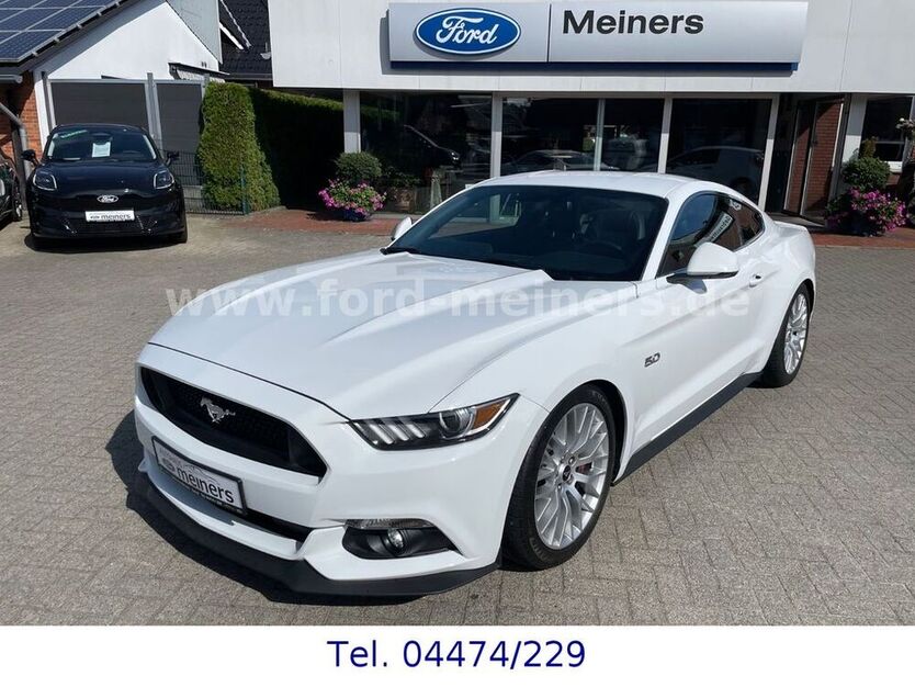 Mustang
