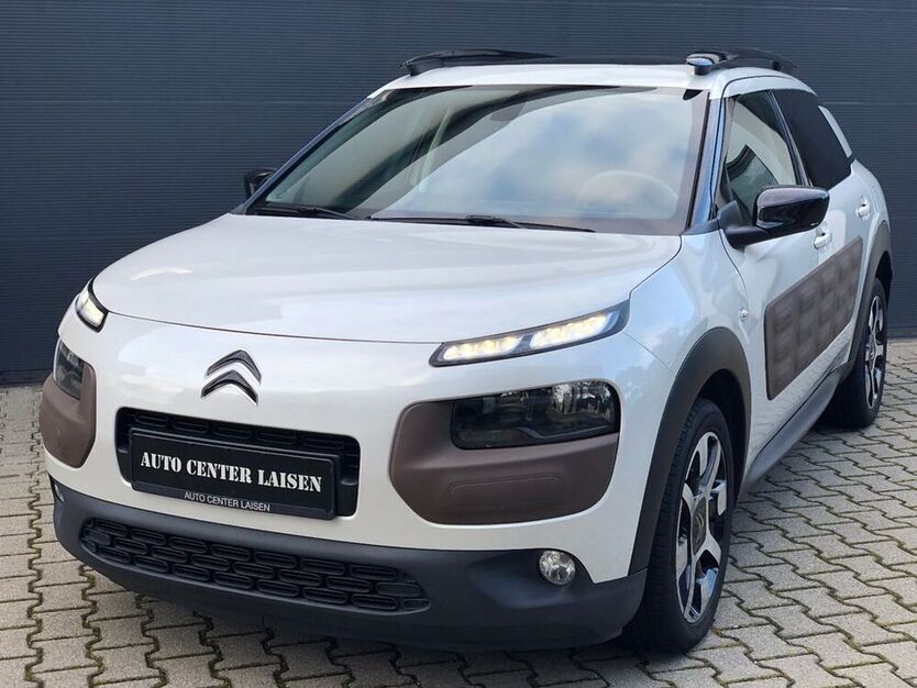 C4 Cactus