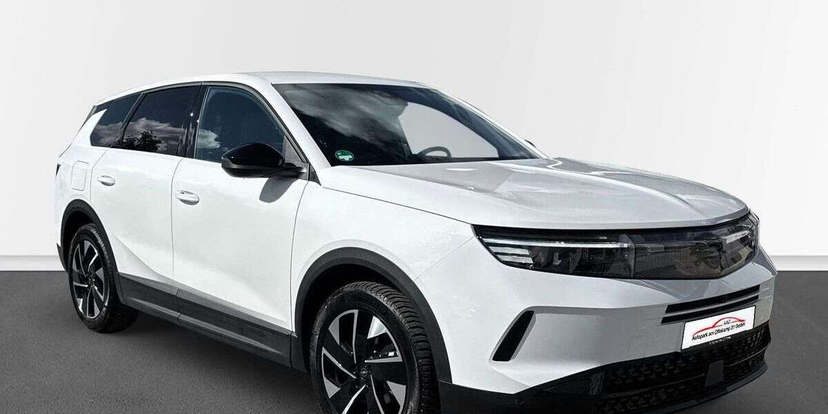 Opel Grandland X 3.000 km 28.990 &euro; Hamburg 22529