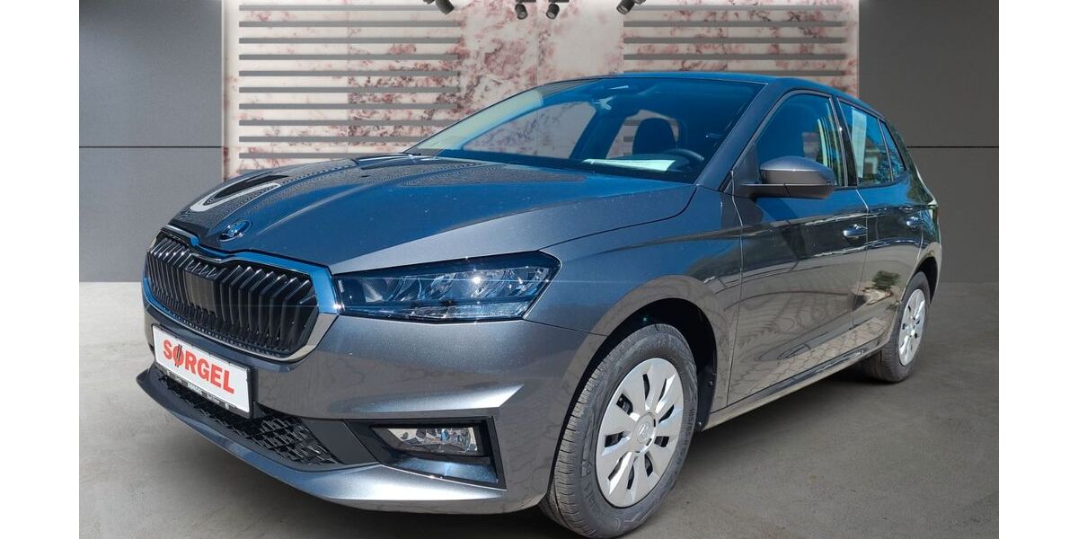 Skoda Fabia 1.031 km 20.800 &euro; Bad Elster 08645