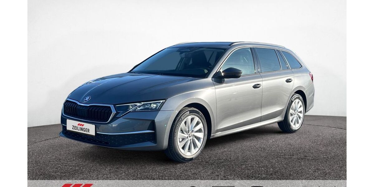 Skoda Octavia 1.025 km 31.173 &euro; Dietersheim 91463