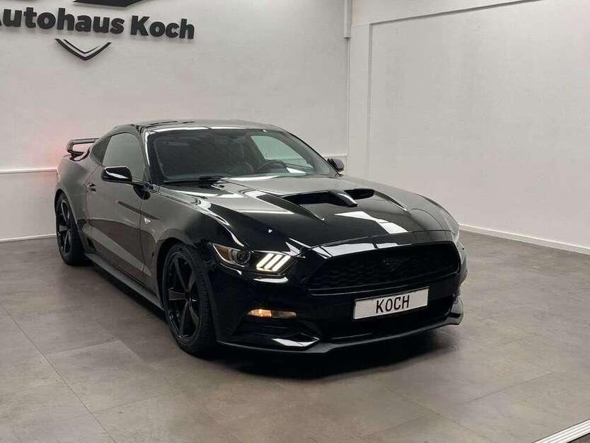 Mustang