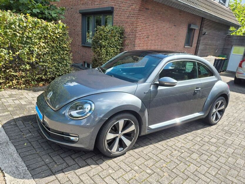 Beetle