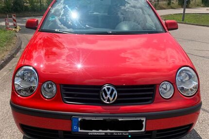VW Polo 95.000 km 3.999 &euro; Waldkraiburg 84478