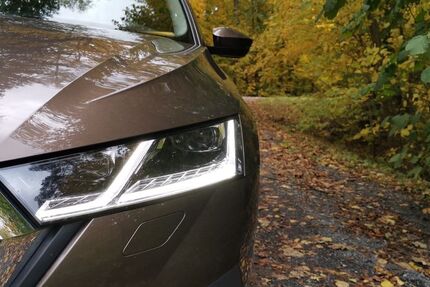 Skoda Octavia 122.000 km 22.999 € Zeil 97475