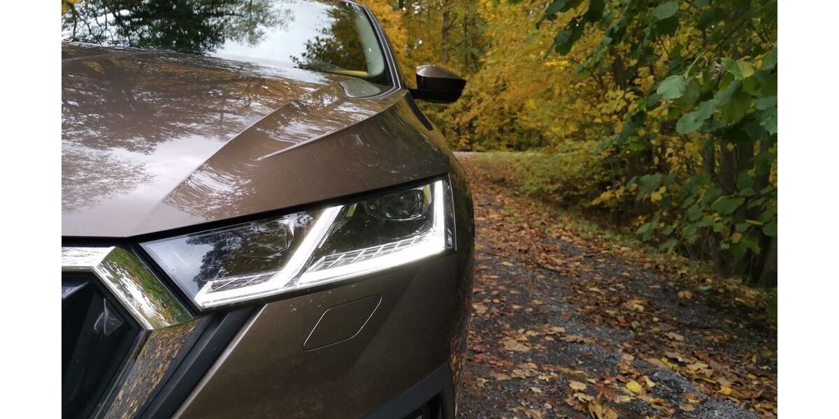 Skoda Octavia 122.000 km 22.999 € Zeil 97475