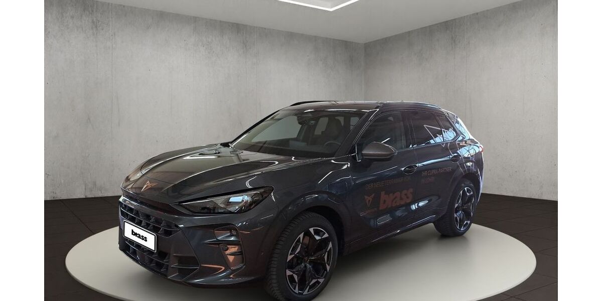 Cupra Terramar 8.950 km 48.950 &euro; Offenbach 63075