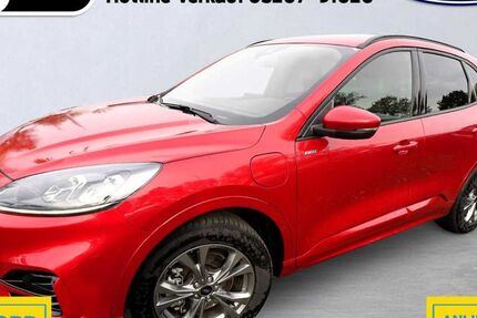 Ford Kuga 50.300 km 24.450 &euro; Schloß Holte-Stukenbrock 33758