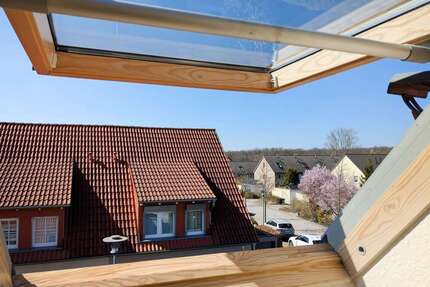 Haus zum Kaufen in Halle 399.000 € 126 m²