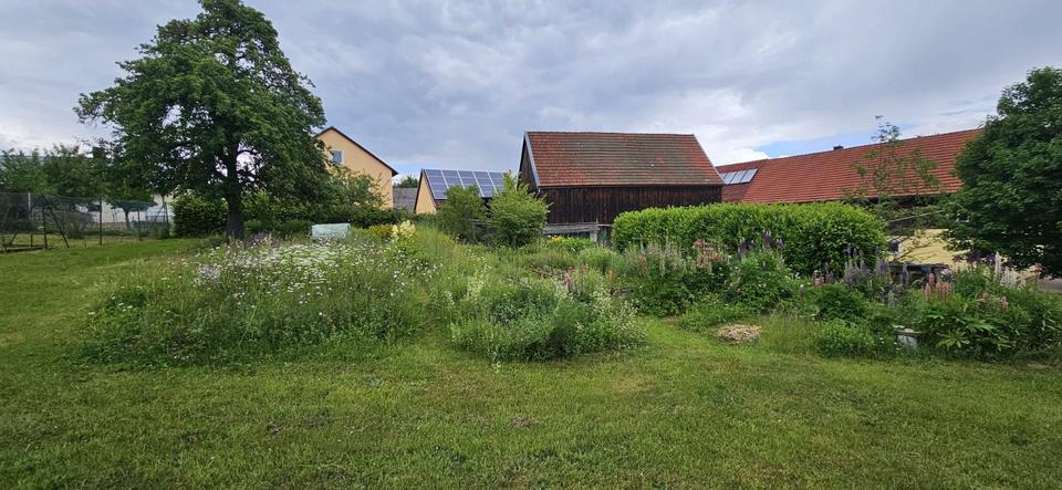 Einfamilienhaus Königstein - 9 Zimmer, 274 m&sup2;, 490.000&euro; | Angebot:26905694