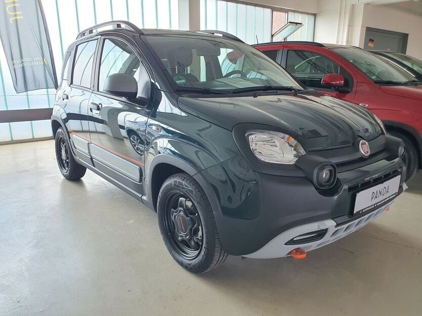 Panda