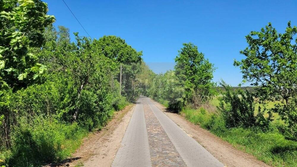 Grundstück Lindow (Mark) Klosterheide - 65.100&euro; | Angebot:25732346