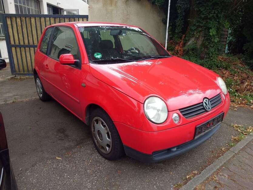 Lupo
