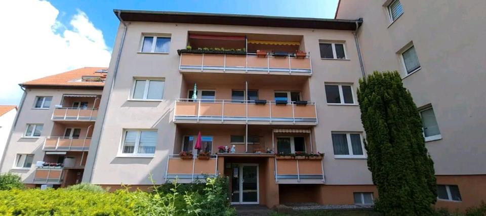 Zi in Berufstätigen-WG in Werder H. nahe Potsdam frei