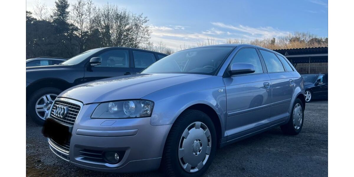 Audi A3 297.000 km 4.990 &euro; Heidesee 15754