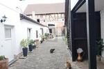 GRÖSSE AUF DEN ZWEITEN BLICK - Mehrfamilienhaus, Wohnhaus Großostheim | Angebot:26765735