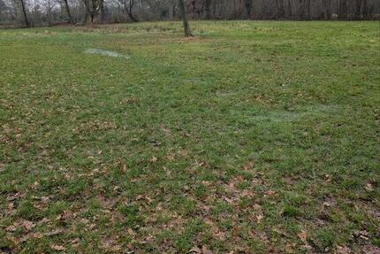 Grundstück Schwanewede - 3&euro; | Angebot:25499879