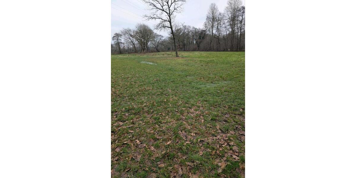 Grundstück Schwanewede - 3&euro; | Angebot:25499879