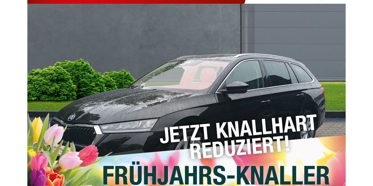 Skoda Octavia 131.703 km 18.790 &euro; Meiningen 98617