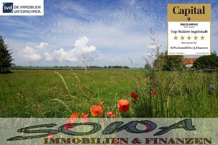 Bauplatz - für Einfamilienhaus oder Doppelhaus, ohne Bauzwang in Stengelheim - Ein Objekt von SOWA Immobilien & Finanzen Ihrem Immobilienprofi vor Ort zimmer