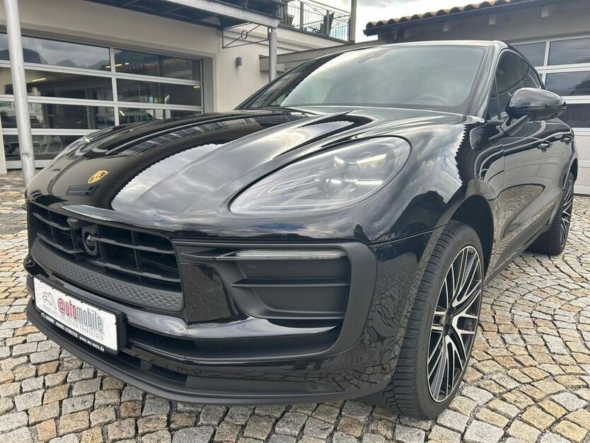 Macan