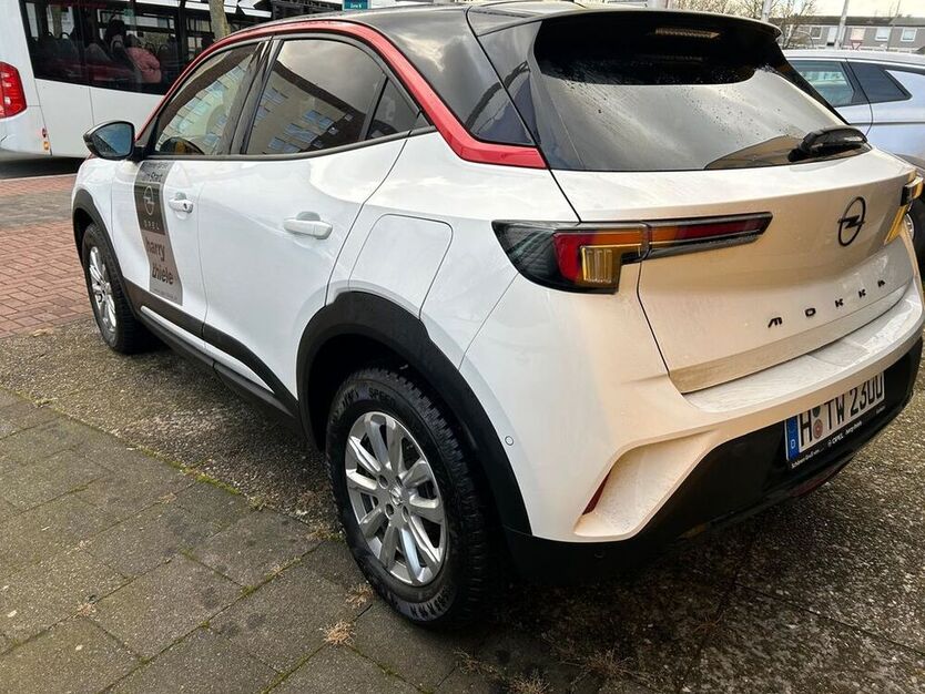 Mokka
