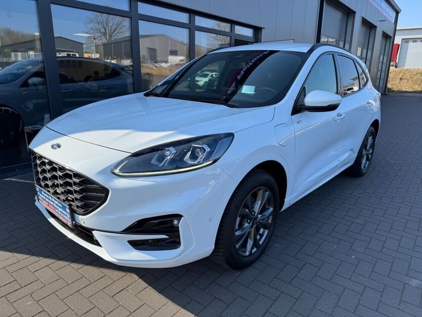 Kuga