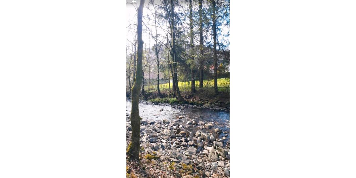 Etagenwohnung Herzberg am Harz - 1 Zimmer, 27 m&sup2;, 400&euro; | Angebot:25479601