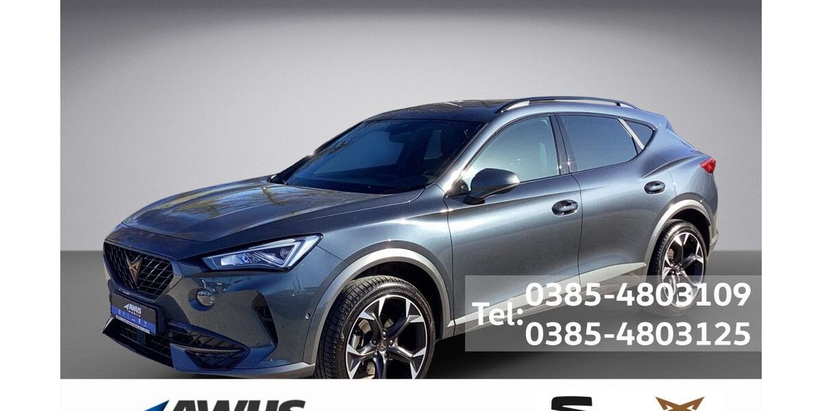 Cupra Formentor 40.200 km 25.990 &euro; Schwerin 19057