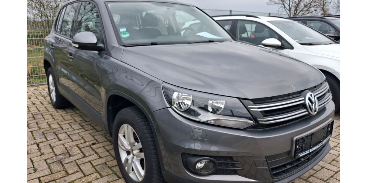 VW Tiguan 127.000 km 10.999 &euro; Upgant- Schott 26529