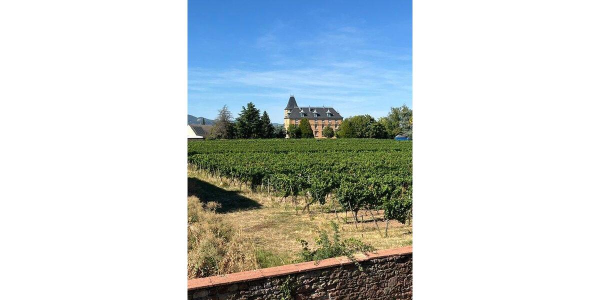 Bauernhaus, Landhaus Großfischlingen - 16 Zimmer, 255 m&sup2;, 650.000&euro; | Angebot:27201251