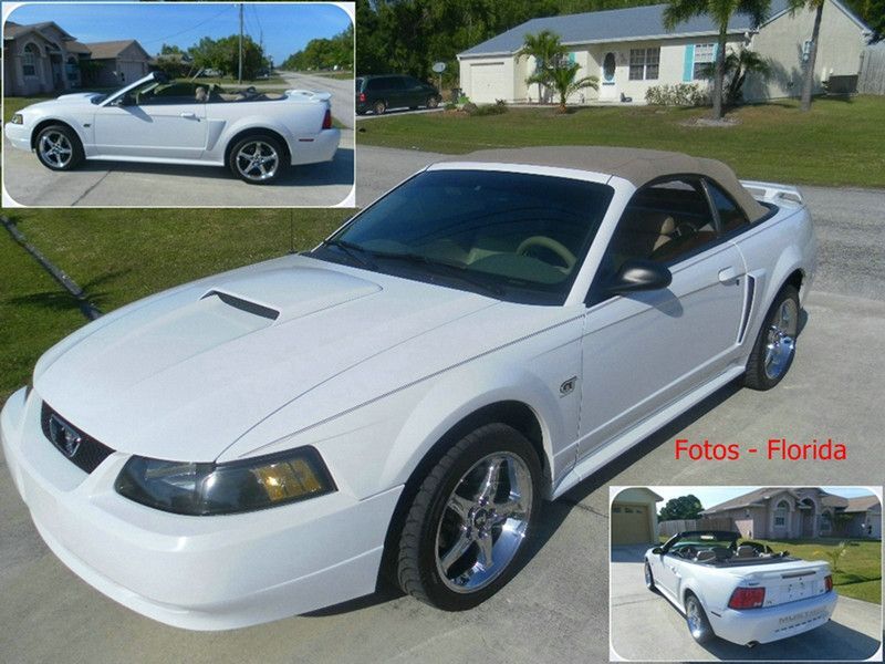 Mustang