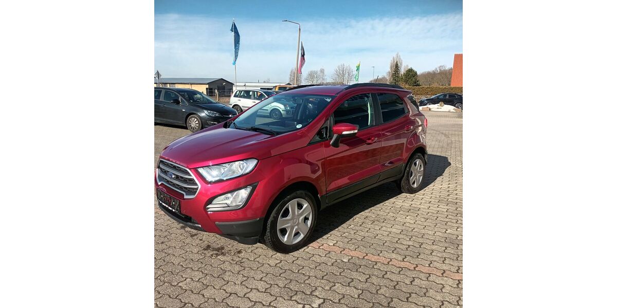 Ford EcoSport 36.147 km 13.900 &euro; Muldestausee 06774
