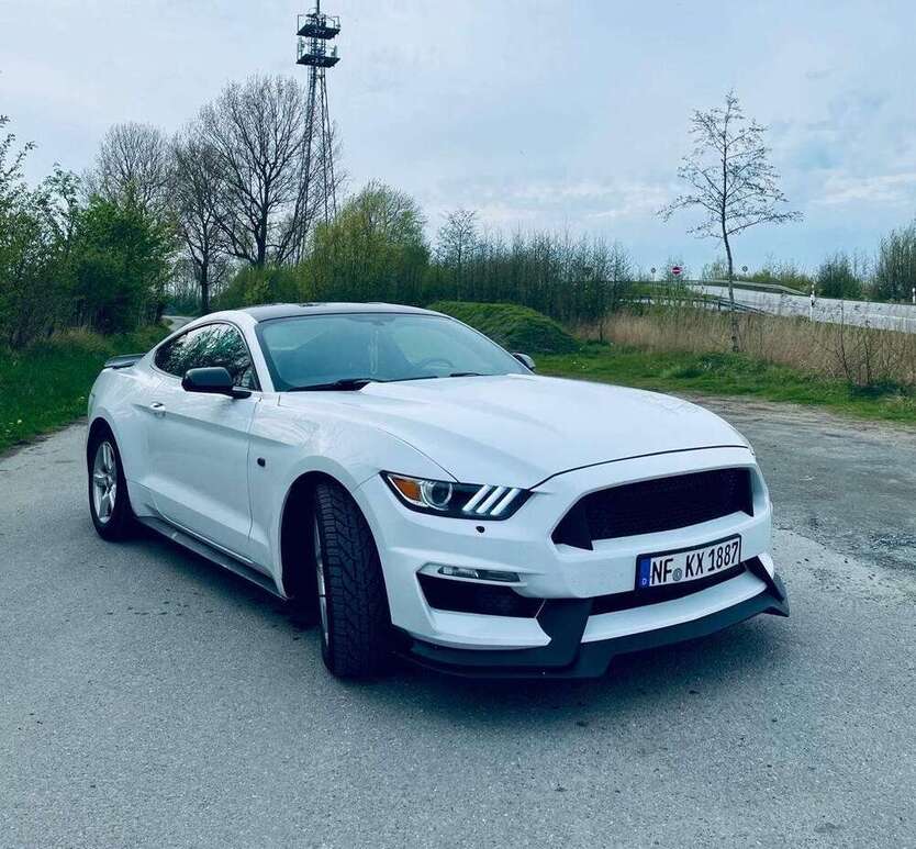 Mustang