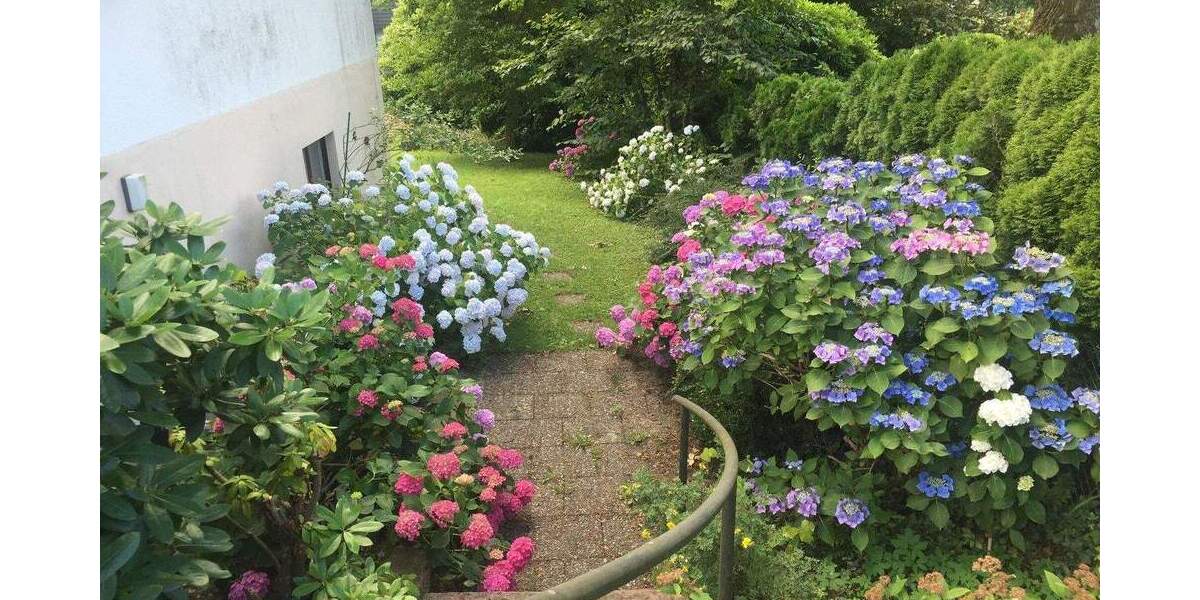 Mehrfamilienhaus, Wohnhaus Freiburg Günterstal - 1 Zimmer, 356 m&sup2;, 1.195.000&euro; | Angebot:24876612