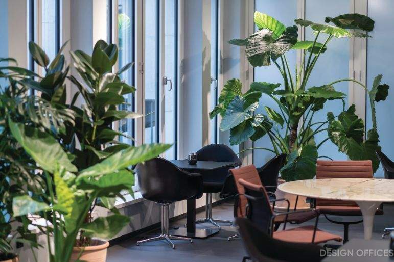 Gewerbeobjekt Bonn Zentrum - 2.400&euro; | Angebot:25081938