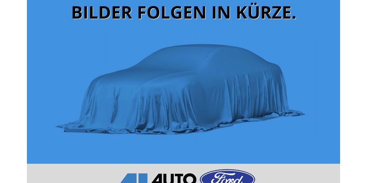 Ford Transit 1.001 km 48.774 &euro; Holdorf 49451