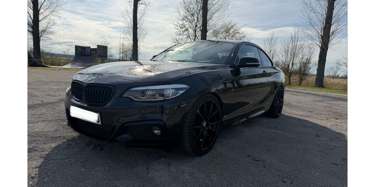 BMW 220 Gran Coupé 108.170 km 24.900 &euro; Windsbach 91575