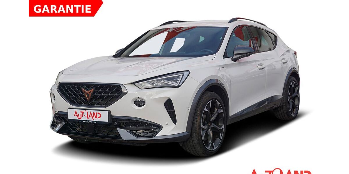 Cupra Formentor 37.714 km 29.950 &euro; Halle 06122