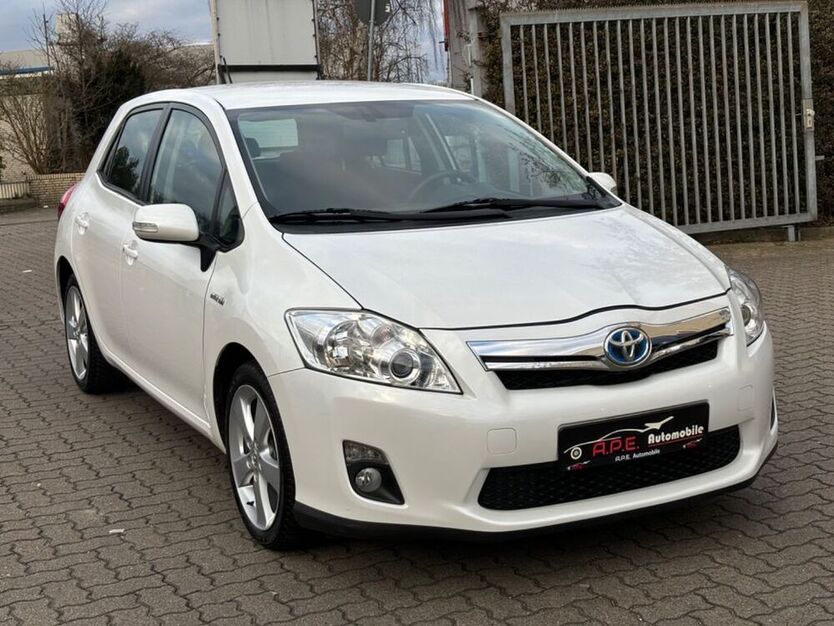 Auris