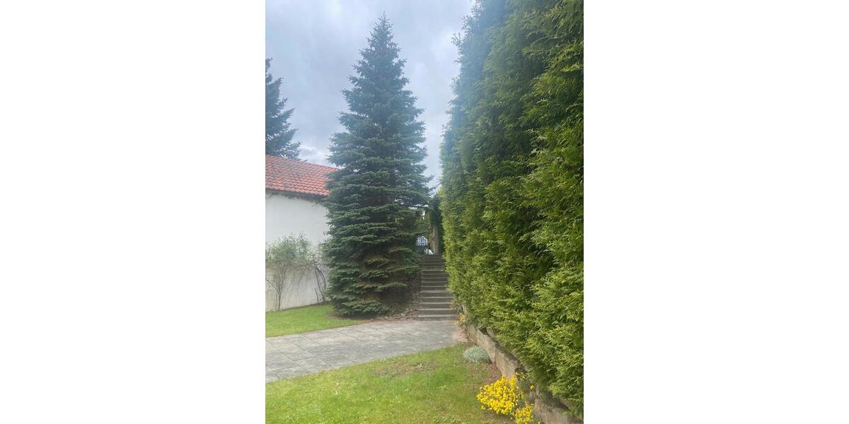 Einfamilienhaus Bad Liebenzell - 8 Zimmer, 286 m&sup2;, 870.000&euro; | Angebot:26737917