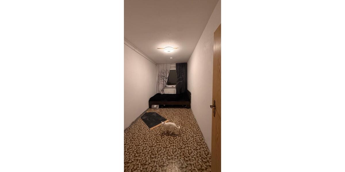 Etagenwohnung Eilenburg - 3 Zimmer, 1 m&sup2;, 800&euro; | Angebot:24982702