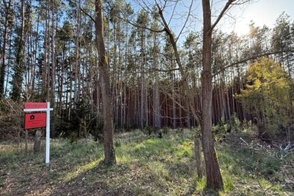 PROVISIONSFREI! Ruhig gelegenes Baugrundstück am Waldrand – fußläufig zum Bahnhofnahe Wolziger - Grundstück Kummersdorf Kummersdorf | Angebot:26648250